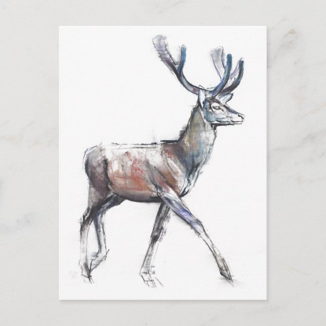 Velvet 2006 postcard (Front)