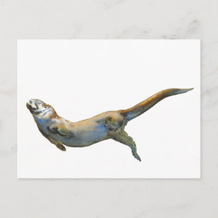 Velvet 2014 postcard