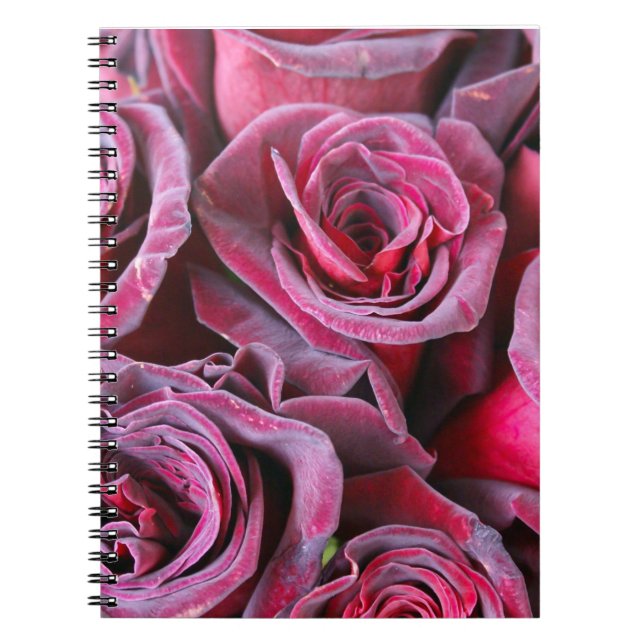Velvet Beauty Notebook (Front)