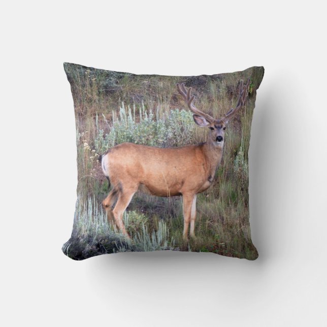 Velvet buck cushion (Front)