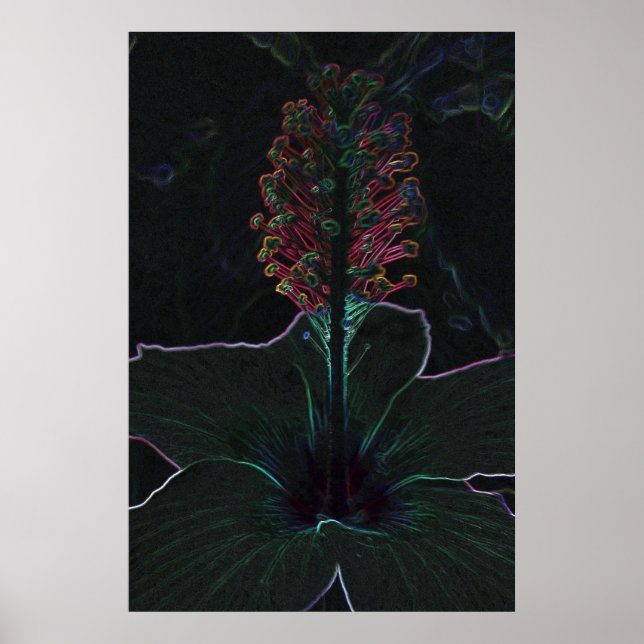 velvet coloured flower poster (Front)