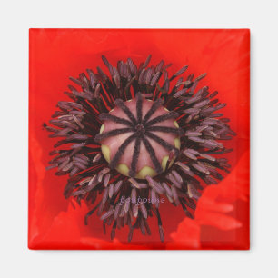 velvet core magnet