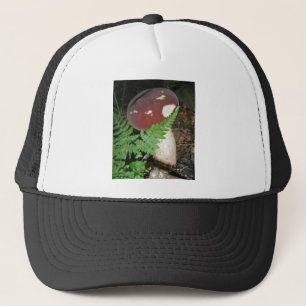 Velvet Mushroom Hat