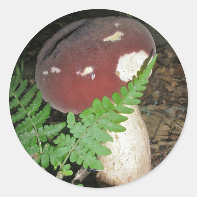 Velvet Mushroom Stickers (Front)