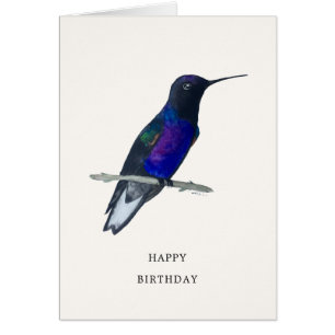 Velvet-Purple Coronet Hummingbird Birthday Card