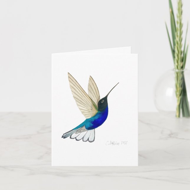 Velvet-purple Coronet Hummingbird Card (Front)