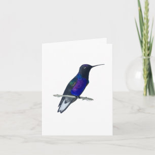 Velvet-purple Coronet Hummingbird Card