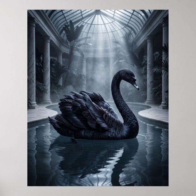 Velvet Swan Conservatory Poster (Front)