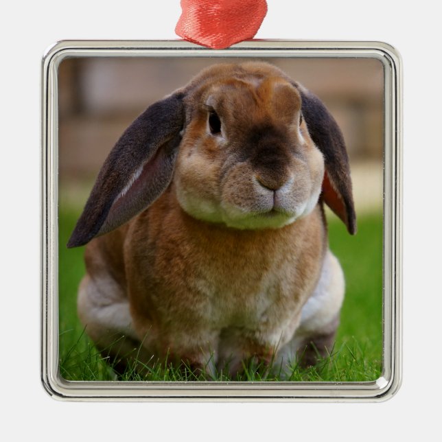 Velveteen Lop Bunny Rabbit Metal Ornament (Front)