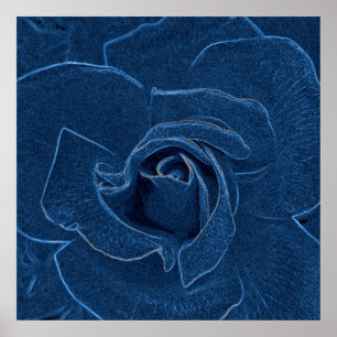 velvety blue rose poster