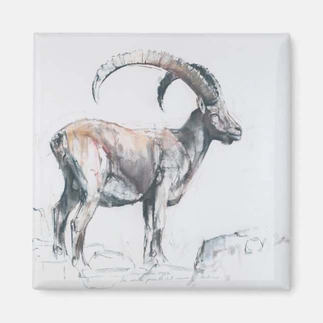 Venerando Stambecco 2006 Magnet (Front)