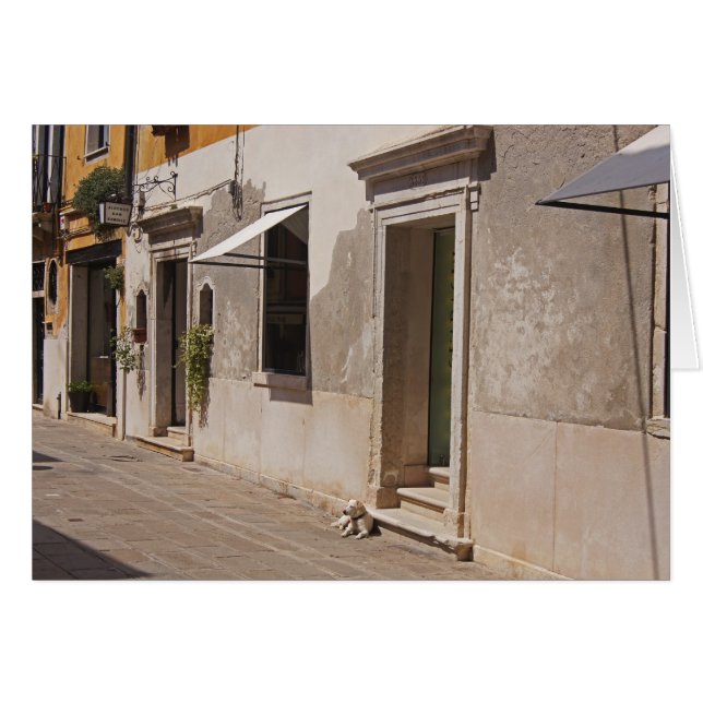 Venetian Dog (Front Horizontal)