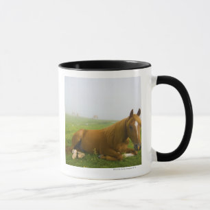 veneto italy 2 mug