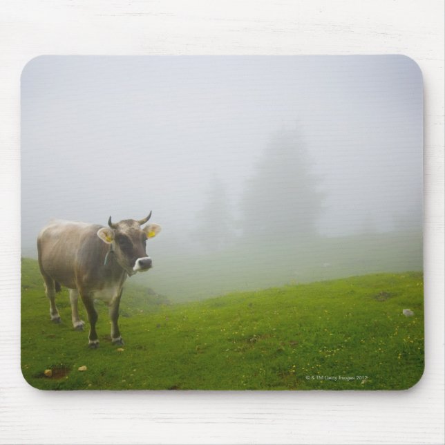 veneto italy mouse pad (Front)