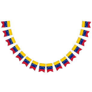 Venezuela Flag