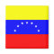 Venezuela Flag Magnet