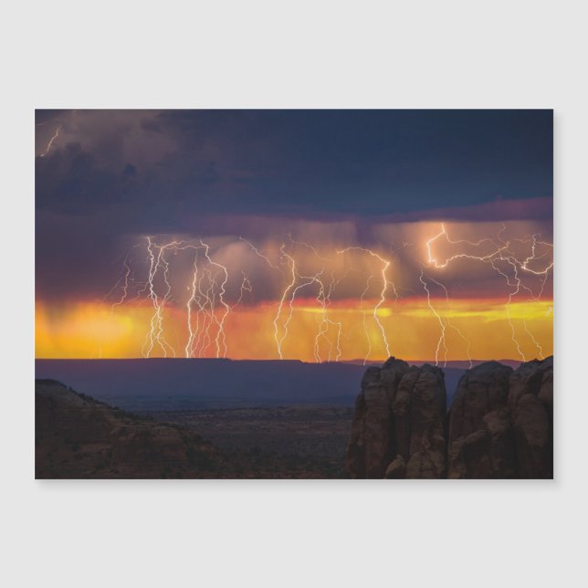 Venezuela Lightnings Magnetic Card (Front)