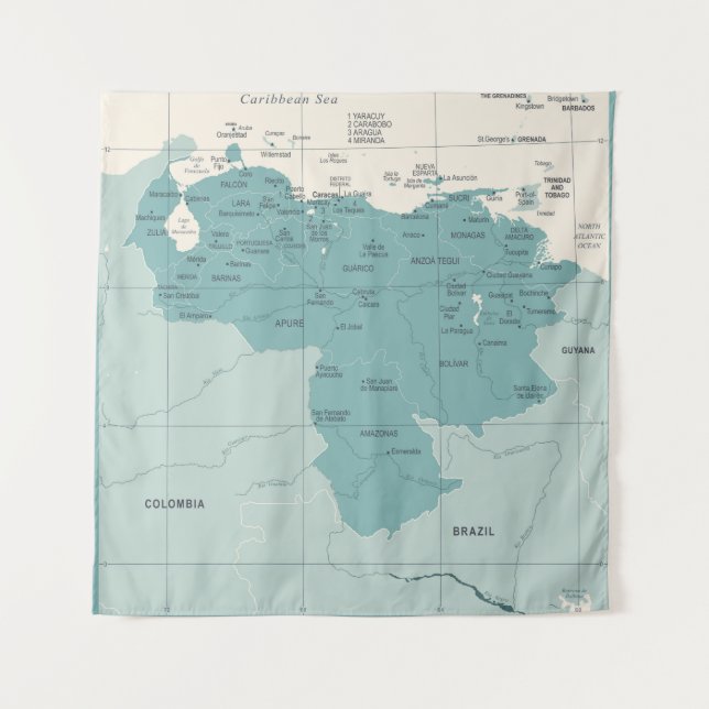 Venezuela Map - Vintage High Detailed vintage Illu Tapestry (Front)