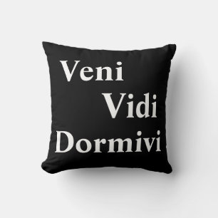 Veni Vidi Dormivi I came I saw I slept Cushion