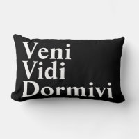 Veni Vidi Dormivi I came I saw I slept