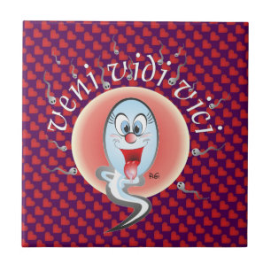 Veni vidi vici ceramic tile