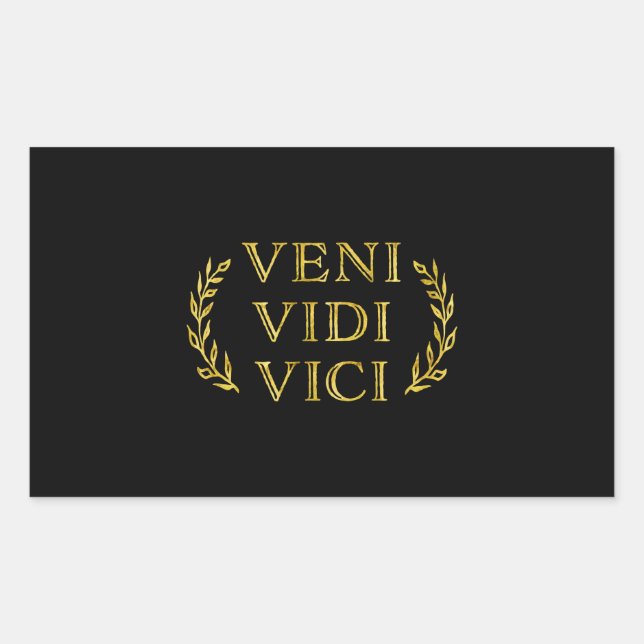 Veni Vidi Vici Funny Game Winner Rectangular Sticker (Front)
