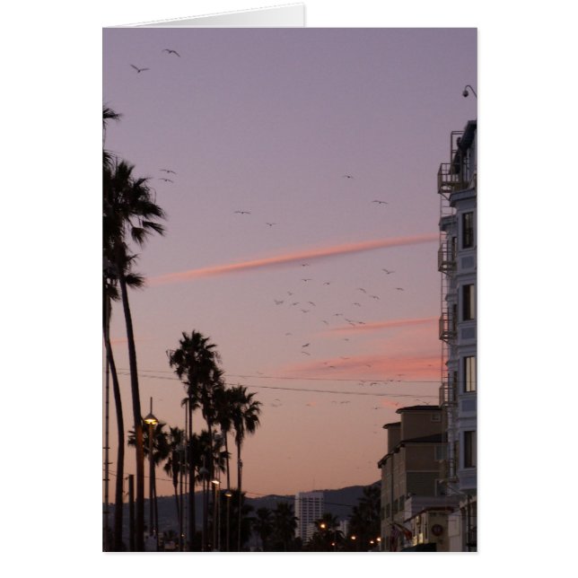Venice beach (Front)