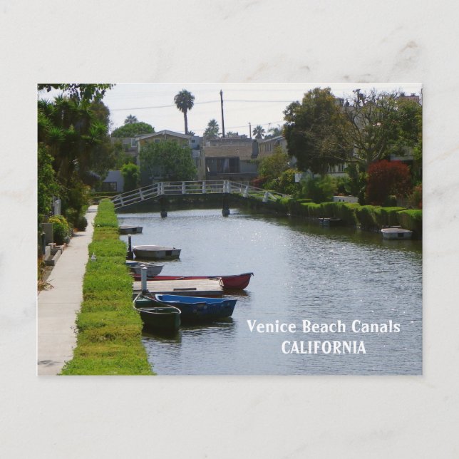 Venice Beach Canals Postcard! Postcard (Front)
