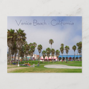 Venice Beach Postcard! Postcard