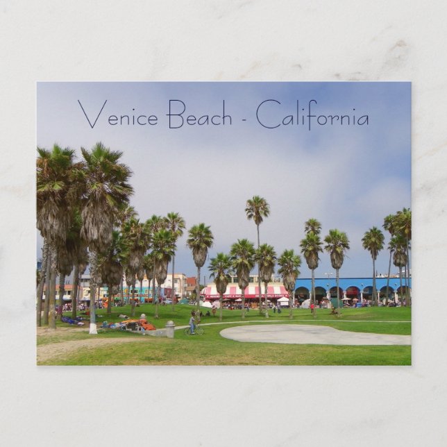 Venice Beach Postcard! Postcard (Front)