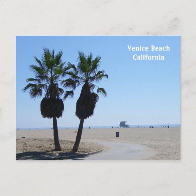 Venice Beach Postcard! Postcard (Front)