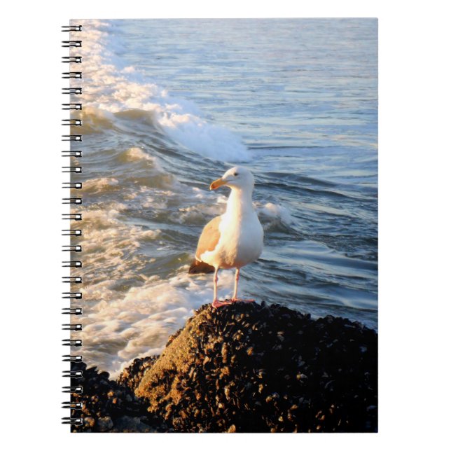 Venice Beach Seagull Notebook (Front)