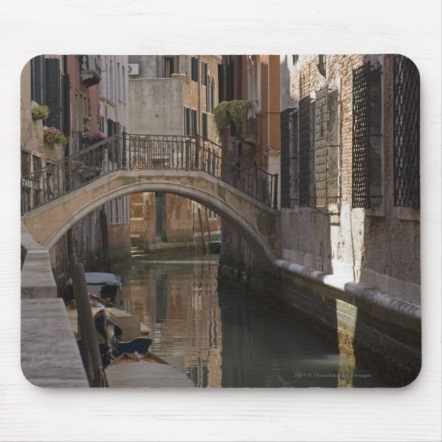 Venice Canals and Stone bridge Mouse Pad (Front)
