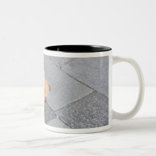 Venice, Italy. Two-Tone Coffee Mug