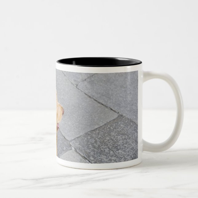 Venice, Italy. Two-Tone Coffee Mug (Right)