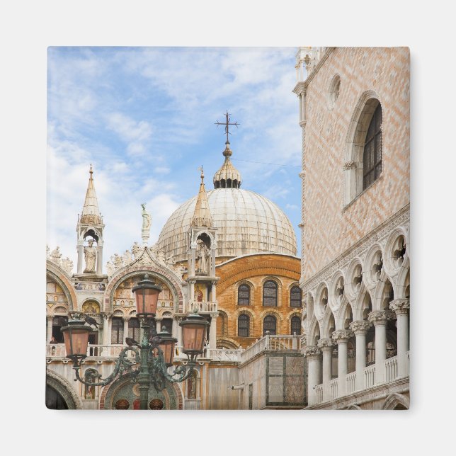 Venice, Veneto, Italy - Birds are perched on a Magnet (Front)