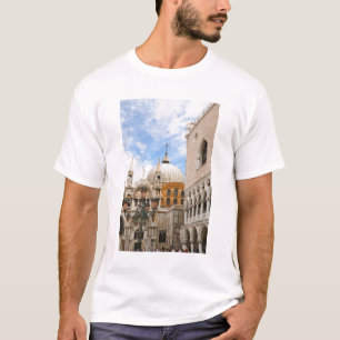 Venice, Veneto, Italy - Birds are perched on a T-Shirt