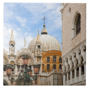Venice, Veneto, Italy - Birds are perched on a Tile