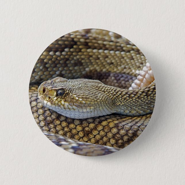 Venomous Rattle Snake Close Up 6 Cm Round Badge (Front)
