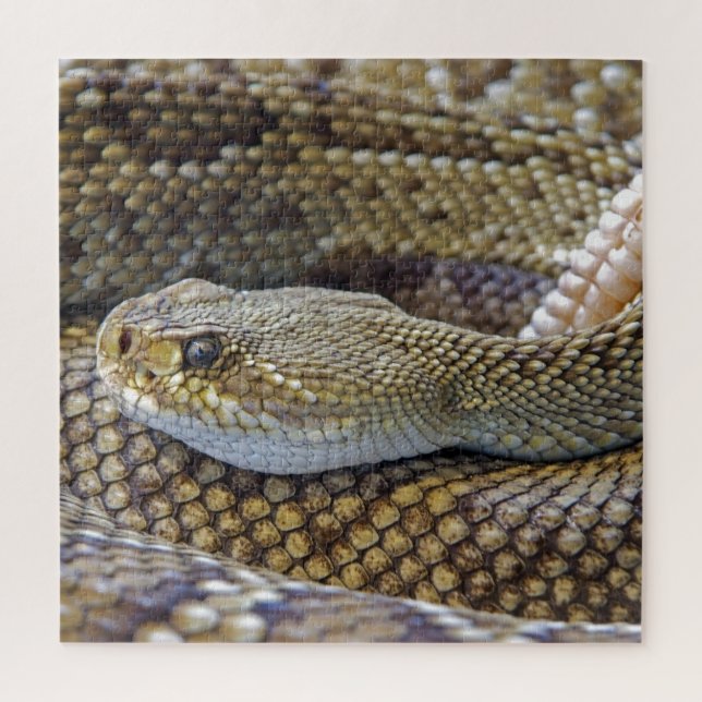 Venomous Rattle Snake Close Up Jigsaw Puzzle (Vertical)