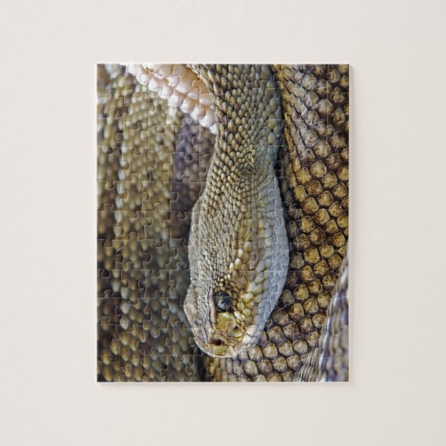 Venomous Rattle Snake Close Up Jigsaw Puzzle (Vertical)