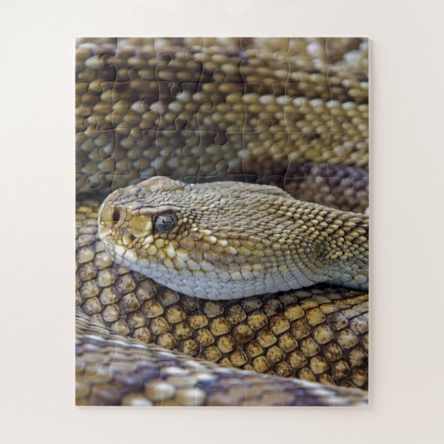Venomous Rattle Snake Close Up Jigsaw Puzzle (Vertical)