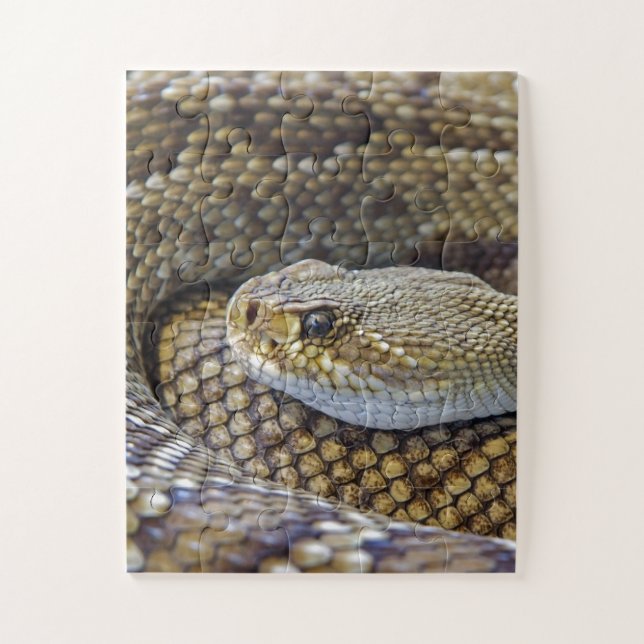Venomous Rattle Snake Close Up Jigsaw Puzzle (Vertical)