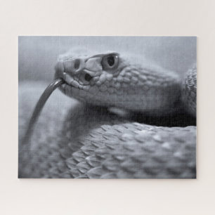 Venomous Rattlesnake in Monochrome, Jigsaw Puzzle