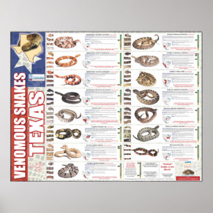 Venomous Snakes of Texas Poser by the NNTRC Poster