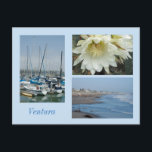 Ventura, CA 3 Photos Template Postcard<br><div class="desc">Remember a seaside vacation in Ventura,  California with this template card. Change any or all of the photographs for your own. The word "Ventura" is a template field too. You can,  of course,  add text and photos to the back too.</div>