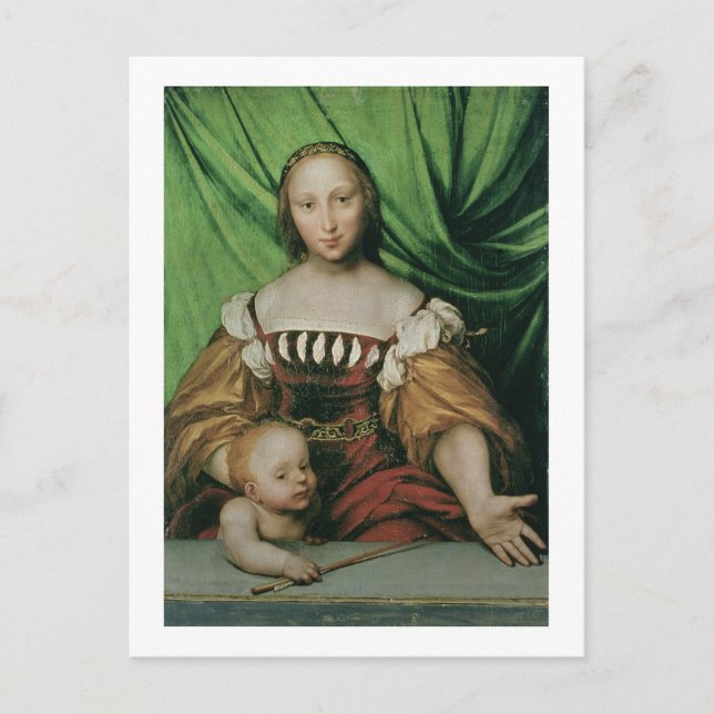 Venus and Cupid, c.1524 (oil on limewood) Postcard (Front)