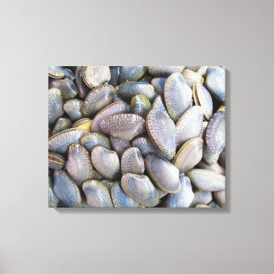 Venus Clam [หอยลาย] Canvas Print