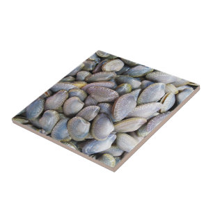 Venus Clam [หอยลาย] Ceramic Tile