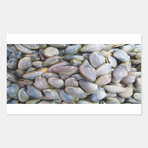 Venus Clam [หอยลาย] Rectangular Sticker